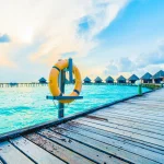 The Art of Hosting: Planning the Perfect Dinner Party