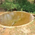 दो वारंटी चढ़े ज्वालापुर पुलिस के हत्थे