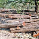 जूते में बीयर डाली और संसद में ही पीने लगे सांसद काइल