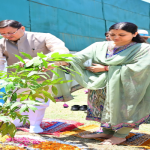 सीएम धामी ने किया पर्यावरण के क्षेत्र में सर्वश्रेष्ठ कार्य करने वाले लोगों को सम्मानित 