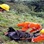 दो वारंटी गिरफ्तार