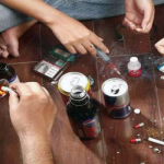 राज्यपाल ने राष्ट्रपति निकेतन के सौंदर्यीकरण कार्यों का किया स्थलीय निरीक्षण  