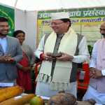 चमन लाल महाविद्यालय के छात्रों ने बुद्धा टेंपल और मसूरी भ्रमण से छात्रों ने लिया प्रेरणादायक अनुभव