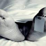 आईआईटी रुड़की में चौथा रुड़की वाटर कॉन्क्लेव 2026  का उद्घाटन हुआ