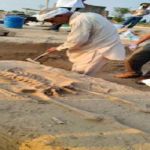 भारत की राष्ट्रपति जबलपुर में आयोजित रानी दुर्गावती विश्वविद्यालय के दीक्षांत समारोह में शामिल हुईं
